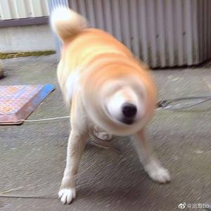 男生艹女生污视频在线免费观看
